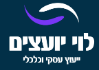 ליווי עסקי